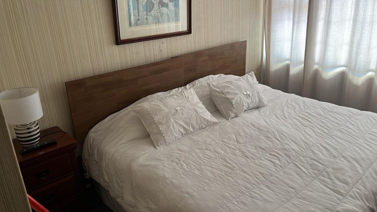 New Hotel Cruz Del Sur Concepción Екстериор снимка