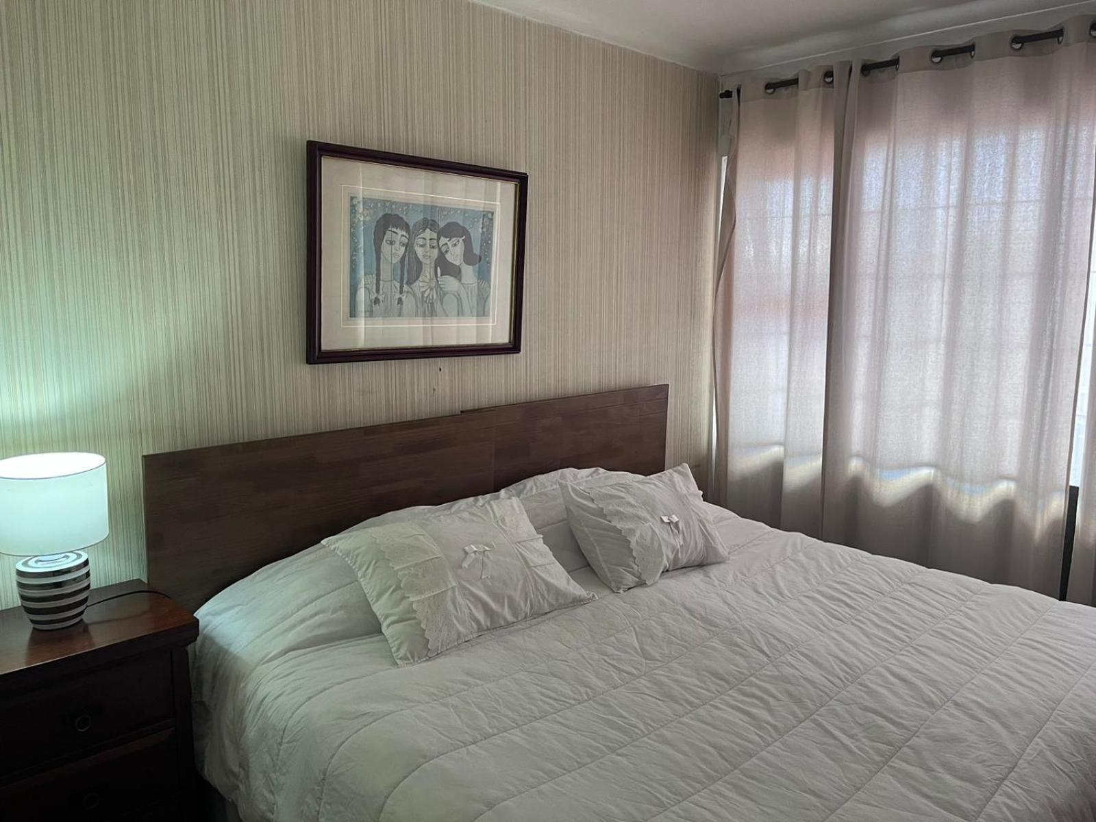 New Hotel Cruz Del Sur Concepción Екстериор снимка