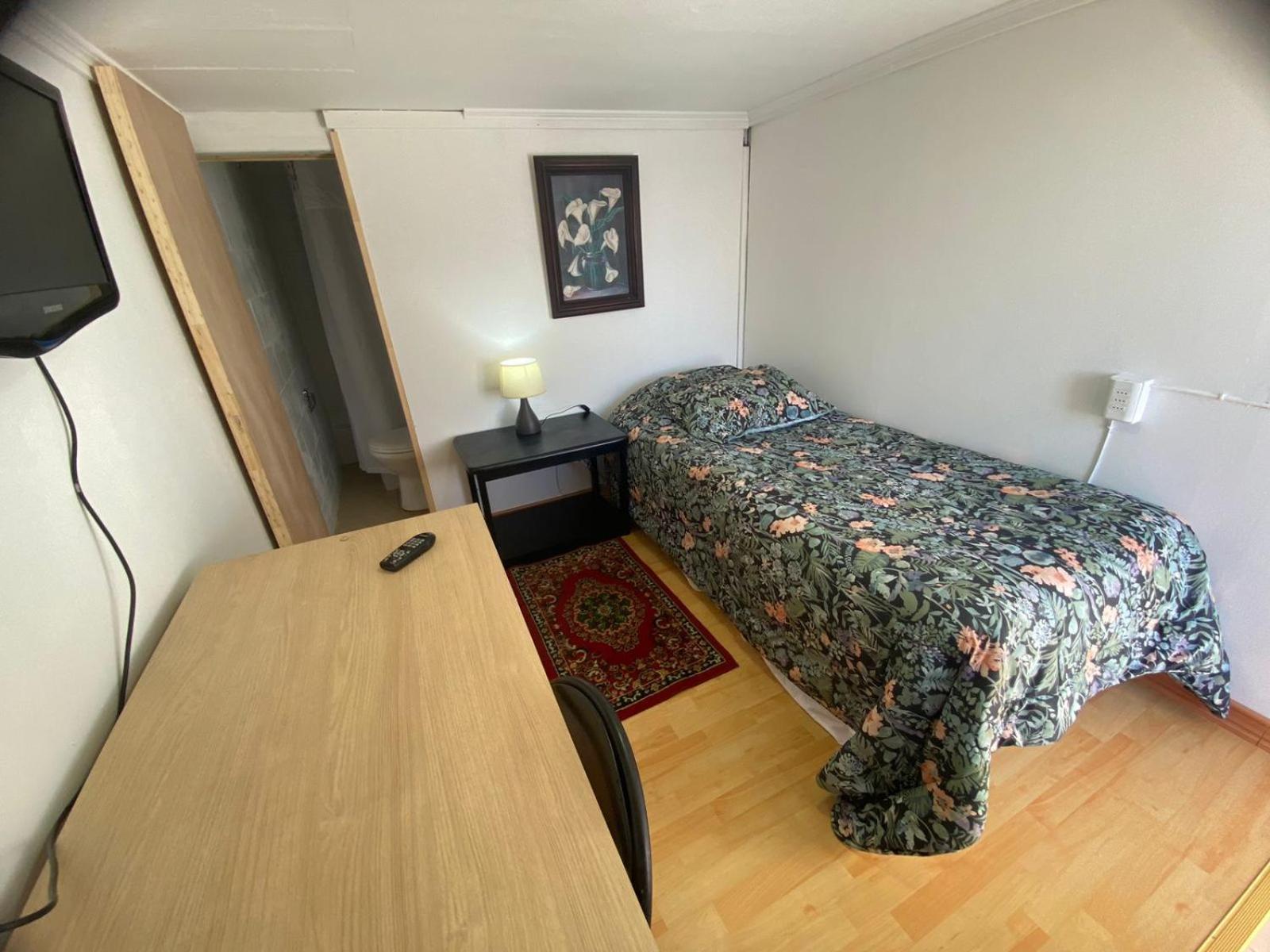 New Hotel Cruz Del Sur Concepción Екстериор снимка