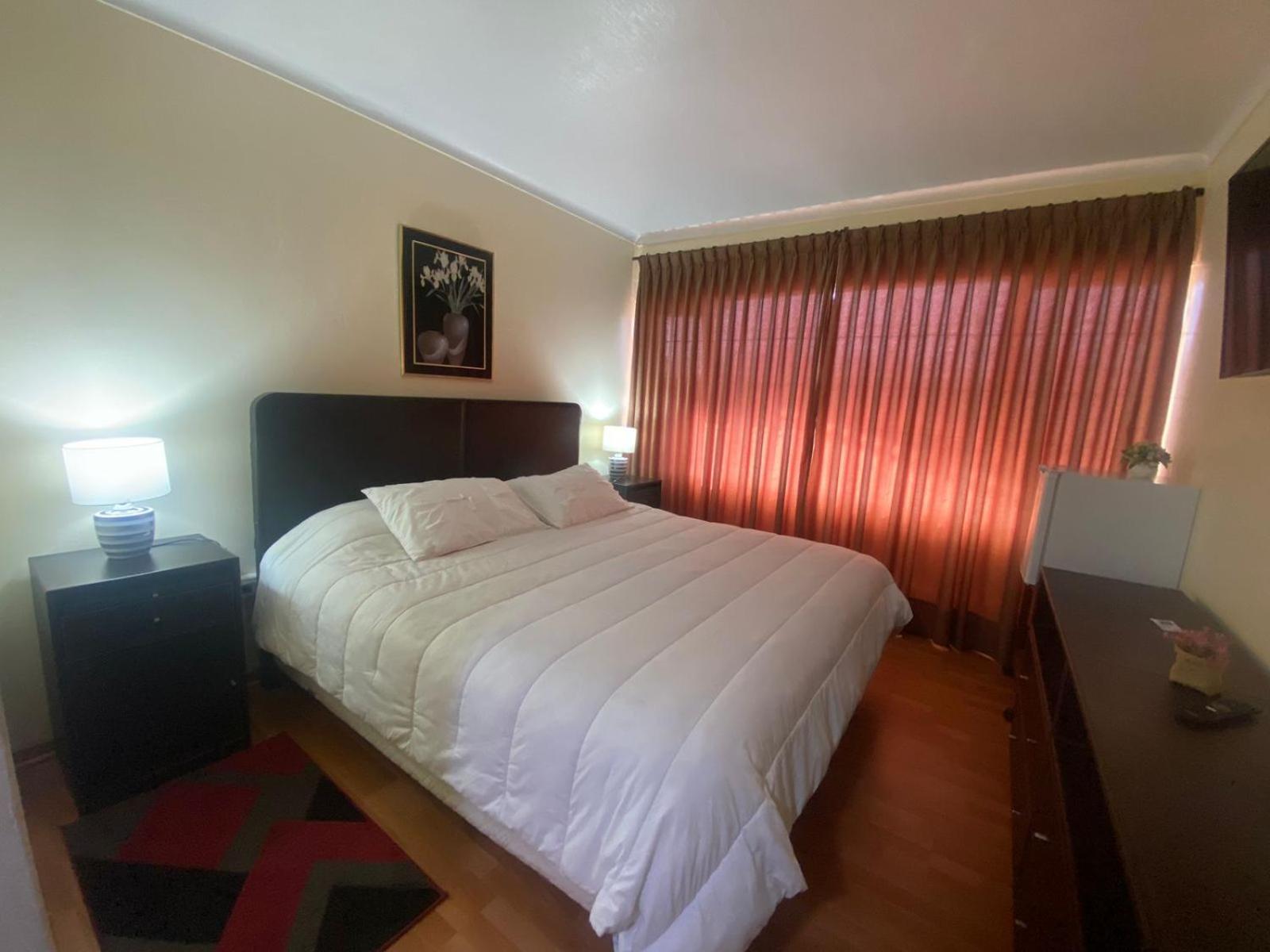 New Hotel Cruz Del Sur Concepción Екстериор снимка
