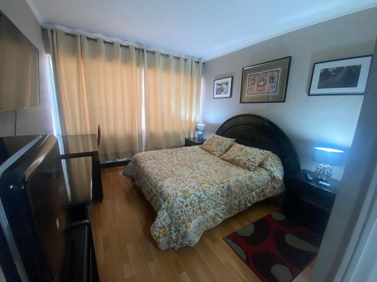 New Hotel Cruz Del Sur Concepción Екстериор снимка