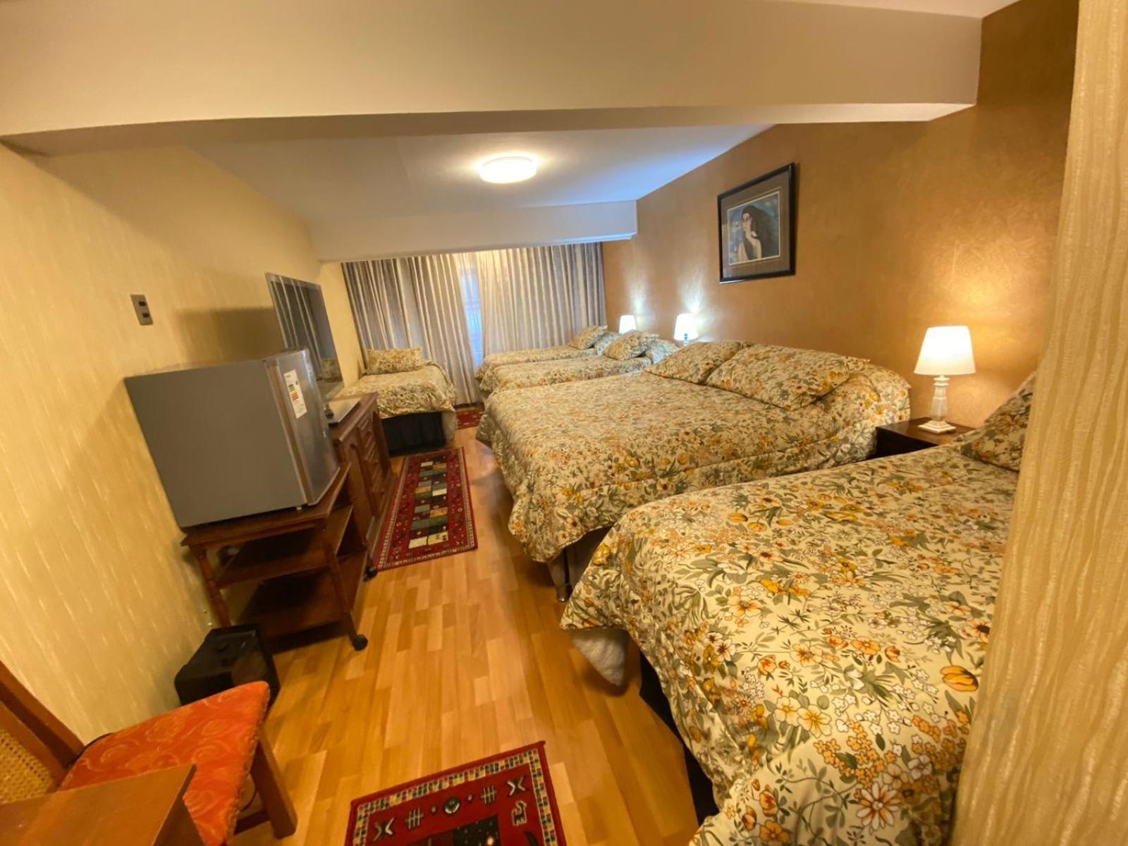 New Hotel Cruz Del Sur Concepción Екстериор снимка