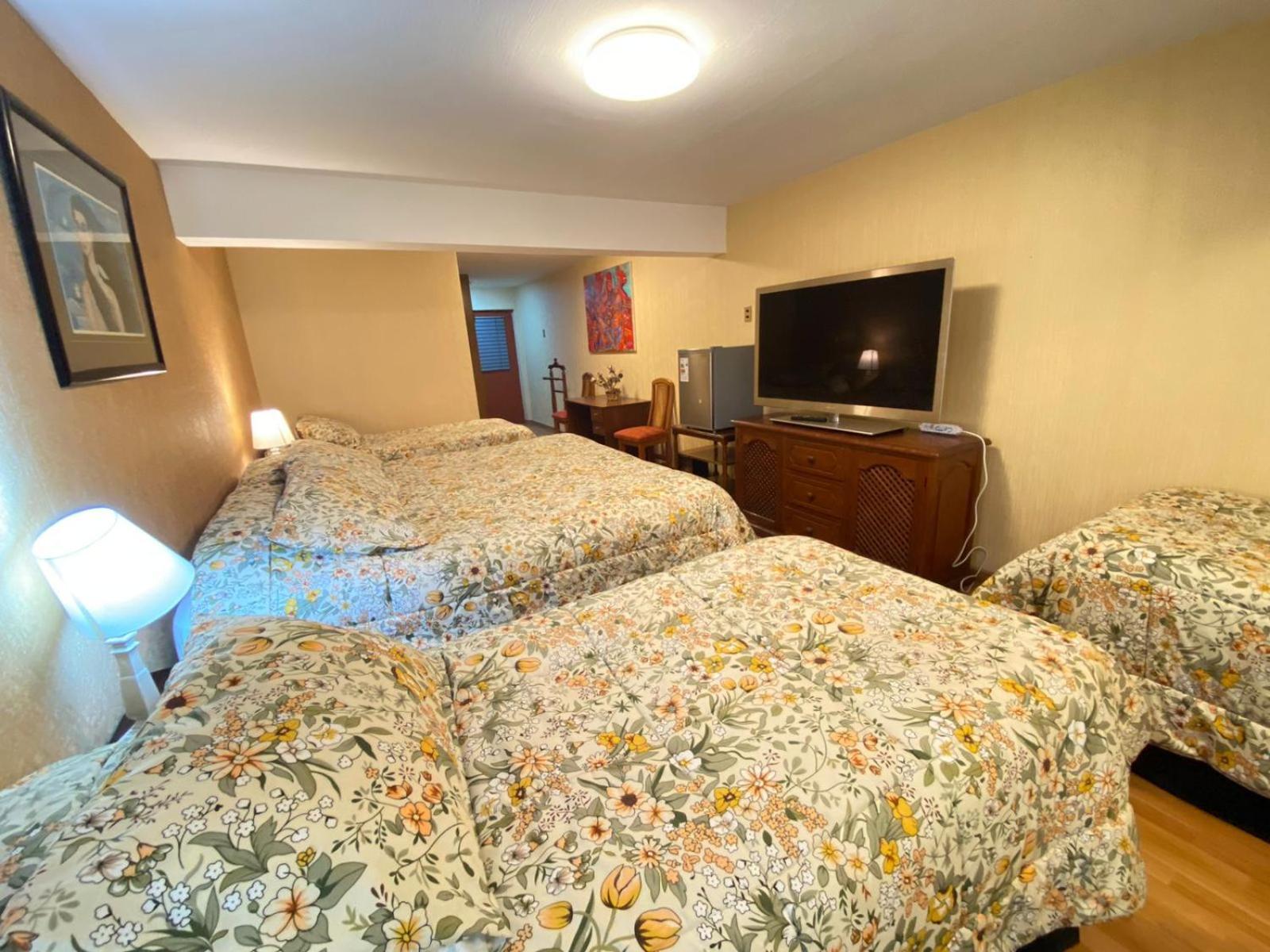 New Hotel Cruz Del Sur Concepción Екстериор снимка