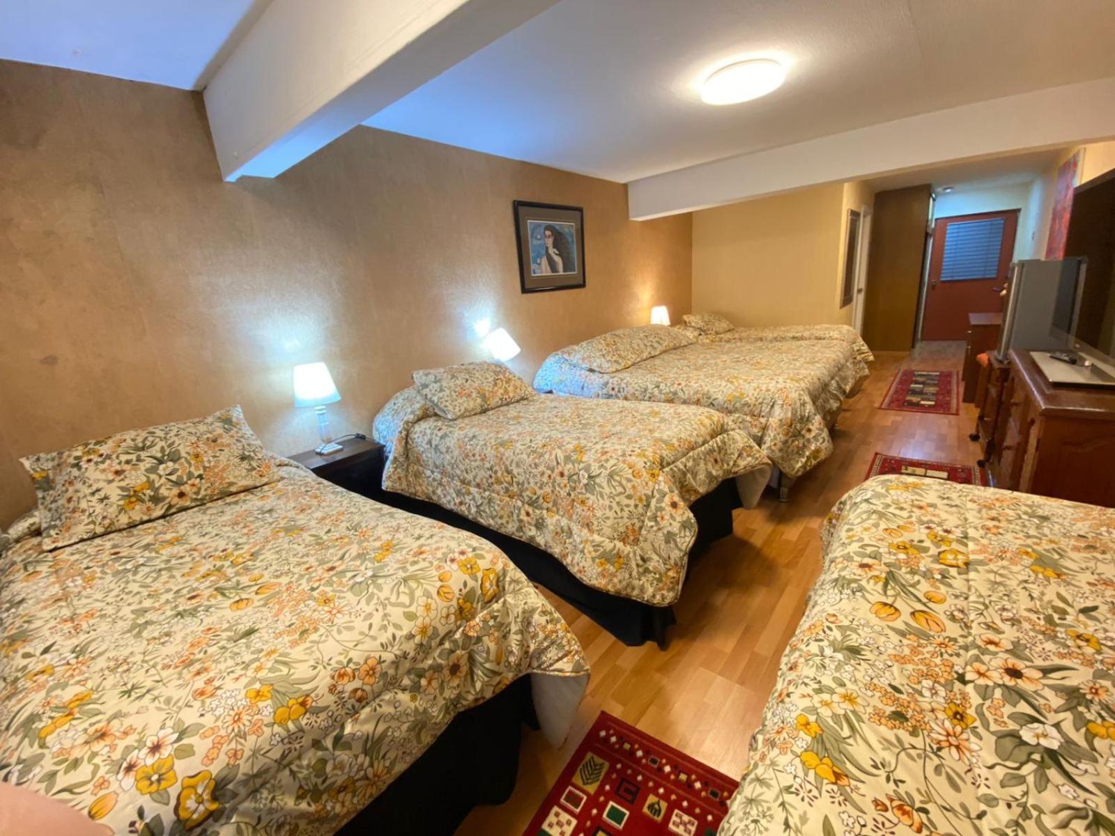New Hotel Cruz Del Sur Concepción Екстериор снимка